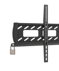 AS2248F - Lockable Landscape Wall Mount (Max. VESA 800x400)